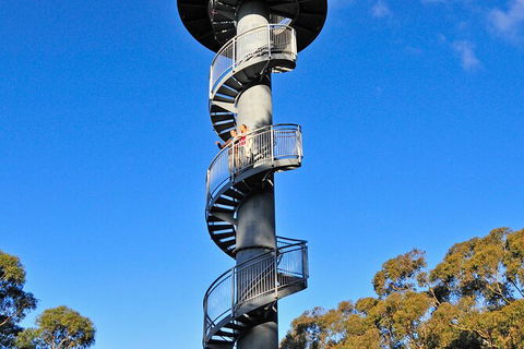 Illawarra Fly Treetop Adventures Treetop Walk Admission Ticket - Accommodation Perth 5