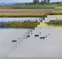 Beardy Waters Dam and Woodlands - Accommodation Perth