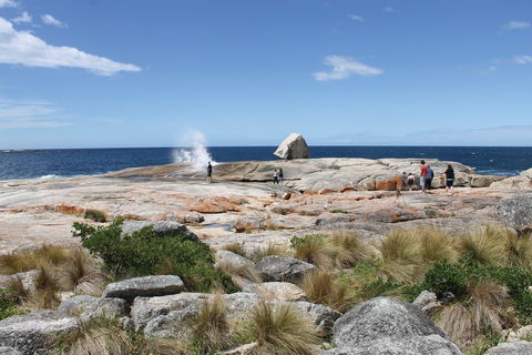 Bicheno Blowhole - Accommodation Perth 1