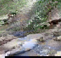 Bomaderry Creek Regional Park - Accommodation Perth