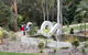 Maroochy Regional Bushland Botanic Garden - thumb 0