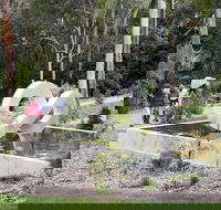 Maroochy Regional Bushland Botanic Garden - Accommodation Perth