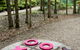 Maroochy Regional Bushland Botanic Garden - thumb 2