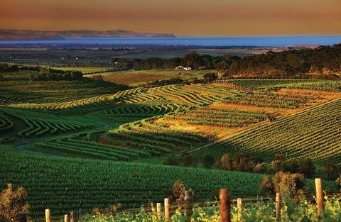 Mclaren Vale - Accommodation Perth 1