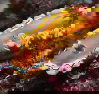 Wolf Rock Dive Site - Perth Resorts