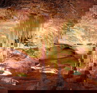 Jenolan Caves Ribbon Cave Tour - Accommodation Perth