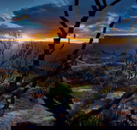 Ultimate Blue Mountains and Wildlife Tour - Accommodation Perth