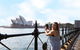 Sydney Instagram Tour - thumb 10