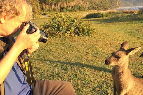 Highlights Of The Eurobodalla (half Day Private Tour) - Accommodation Perth 2