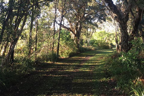Coffs Harbour To Sawtell Bike Ride - Accommodation Perth 7