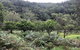 Kayak Camping Adventure To Marramarra Orchard - thumb 1