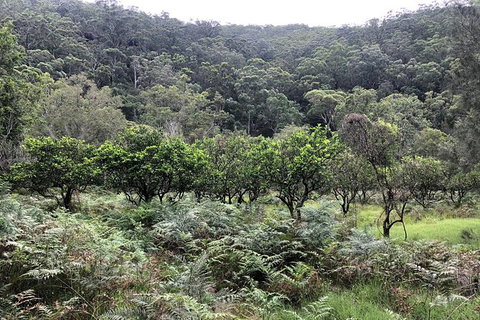 Kayak Camping Adventure To Marramarra Orchard - Accommodation Perth 1