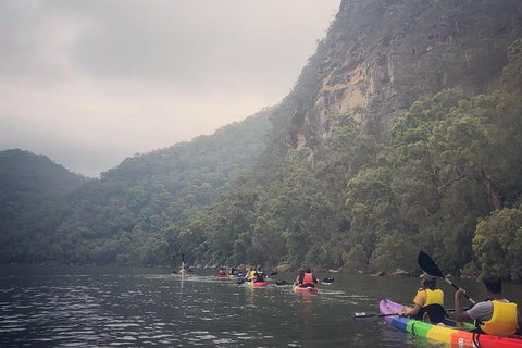 Kayak Camping Adventure To Marramarra Orchard - Accommodation Perth 16