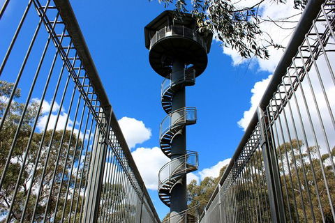 Illawarra Fly Treetop Adventures Admission Including Zipline Tour - Accommodation Perth 3