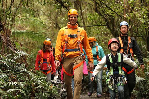 Illawarra Fly Treetop Adventures Admission Including Zipline Tour - Accommodation Perth 1
