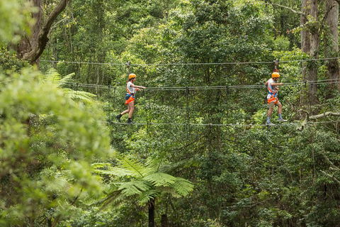 Illawarra Fly Treetop Adventures Admission Including Zipline Tour - Accommodation Perth 0