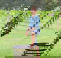Hunter Valley Grape Stomping - Accommodation Perth
