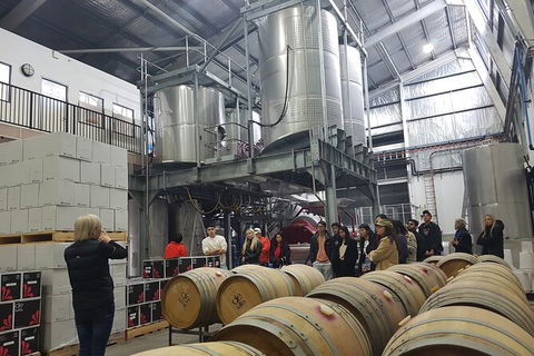 Hunter Valley Small Group Wine, Gin, Cheese & Chocolate Tour - Accommodation Perth 6