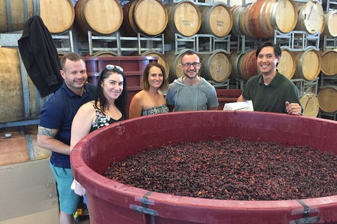 Hunter Valley Small Group Wine, Gin, Cheese & Chocolate Tour - Accommodation Perth 0