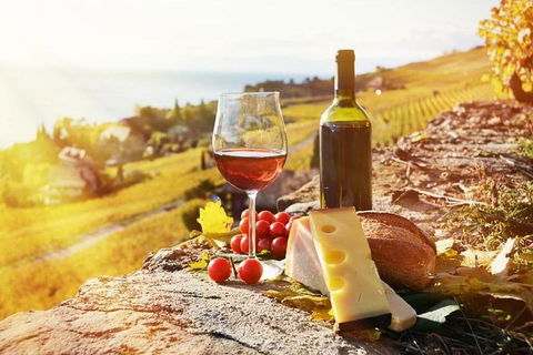 Six Hour - Plan Your Own Wine And Cheese Tour Hunter Valley - Accommodation Perth 0