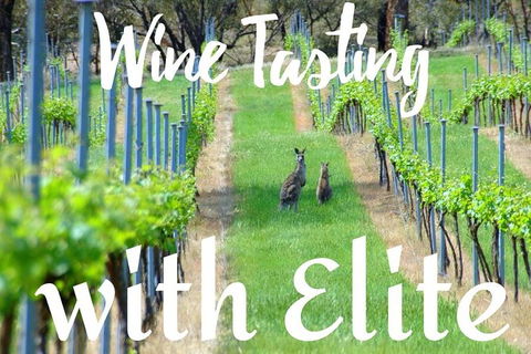 Six Hour - Plan Your Own Wine And Cheese Tour Hunter Valley - Accommodation Perth 7
