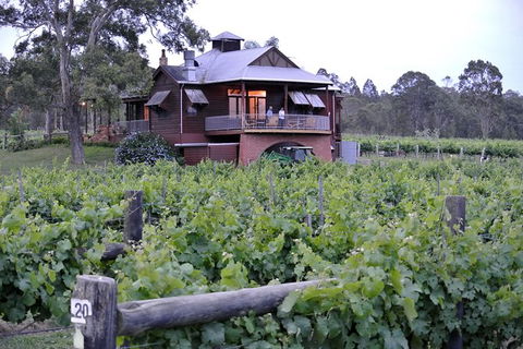 Six Hour - Plan Your Own Wine And Cheese Tour Hunter Valley - Accommodation Perth 11