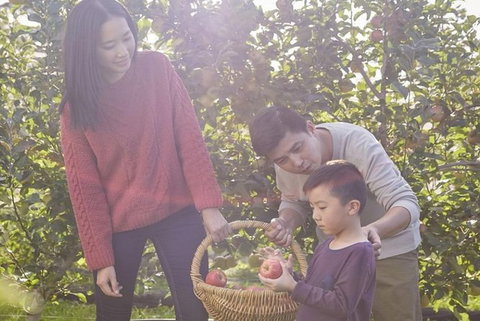 Blue Mountains Botanic Garden And Bilpin Tour From Katoomba With Cider Tasting - Perth Resorts 1