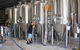 Hipster Sipster Brewery & Distillery Tour - Northern NSW - thumb 14