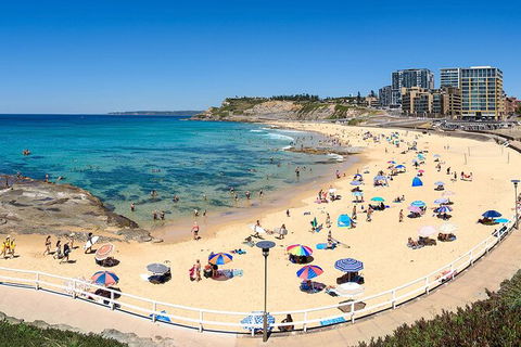 Newcastle Scenic Explorer - 2 Hour Tour By Minibus - Accommodation Perth 16