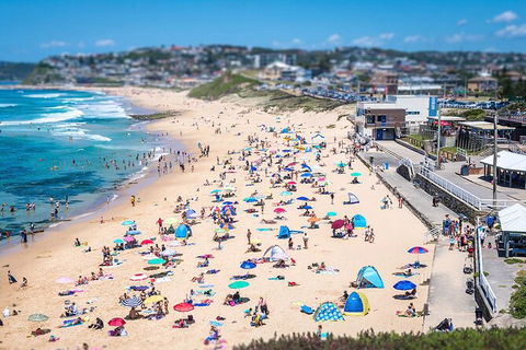 Newcastle Scenic Explorer - 2 Hour Tour By Minibus - Accommodation Perth 6