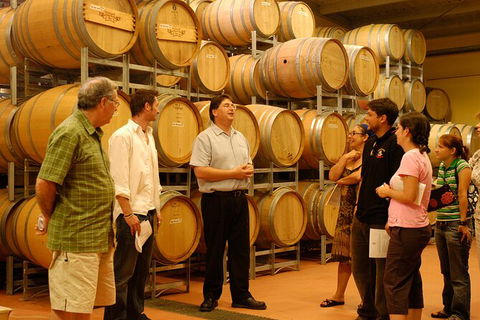 Hunter Valley Small Group Luxury Wine Tasting Tour From Sydney - Accommodation Perth 7