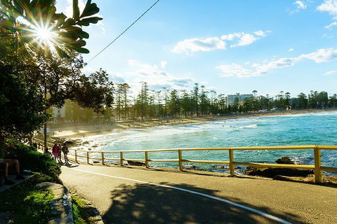 Sydney With Bondi And Beaches Essentials Private Day Tour - Accommodation Perth 8