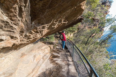 Blue Mountains Highlights & Wildlife Park - Accommodation Perth 0