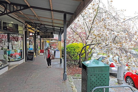 Blue Mountains Highlights & Wildlife Park - Accommodation Perth 2