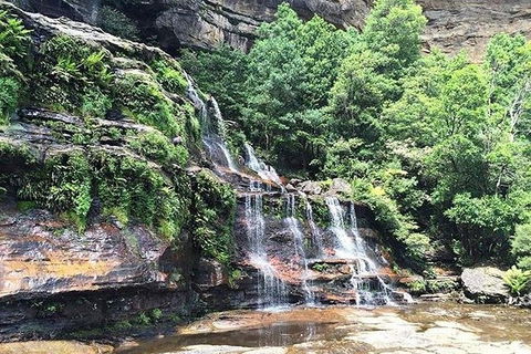 Blue Mountains Highlights & Wildlife Park - Accommodation Perth 8