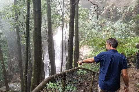 Blue Mountains Highlights, Wildlife Park And Scenic World Full Day Private Tour - Accommodation Perth 6