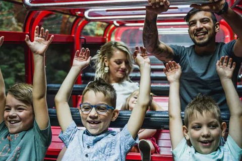 Blue Mountains Highlights, Wildlife Park And Scenic World Full Day Private Tour - Accommodation Perth 5