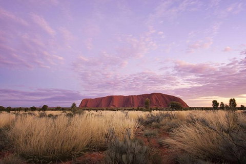 Explore Uluru: 7 Hours Guide Tour At Sunrise With Light Breakfast - Perth Resorts 4