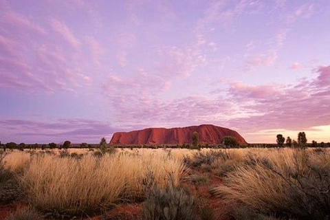 Sunset Australian Barbecue Dinner In Uluru - Accommodation Perth 0