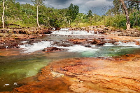 Full-Day Private Guided Tour To Litchfield National Park - Accommodation Perth 14