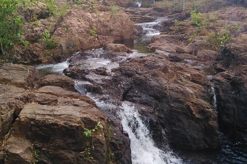 Full-Day Private Guided Tour To Litchfield National Park - Accommodation Perth 15