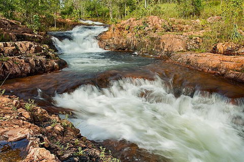 Full-Day Private Guided Tour To Litchfield National Park - Accommodation Perth 3