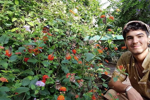 Full-Day Private Guided Tour To Litchfield National Park - Accommodation Perth 17
