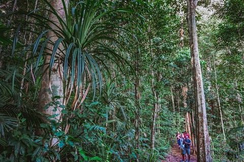 Atherton Tablelands Rain Forest By Night From Cairns - Perth Resorts 0