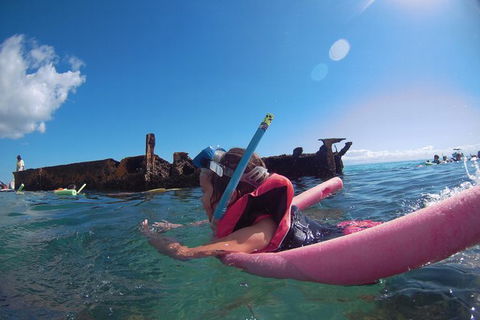 All Inclusive Dolphin And Tangalooma Wrecks Cruise - Perth Resorts 8