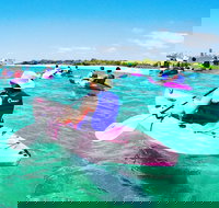 Half Day Dolphin Kayaking and Snorkeling Tour - Perth Resorts