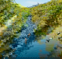 Cruise 'n' Canoe to Australia's Everglades - Perth Resorts