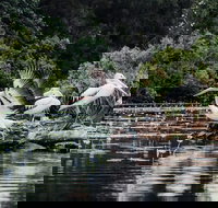 Everglades Eco Safari to Australia's Everglades - Perth Resorts