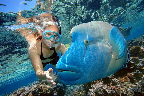 Cairns 2-Day Combo: Great Barrier Reef Cruise And Kuranda - Perth Resorts 0