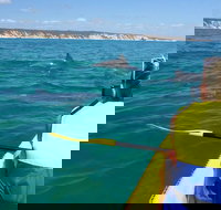 Kayak with Dolphins and 4WD Great Beach Drive Day Trip from Noosa - Perth Resorts